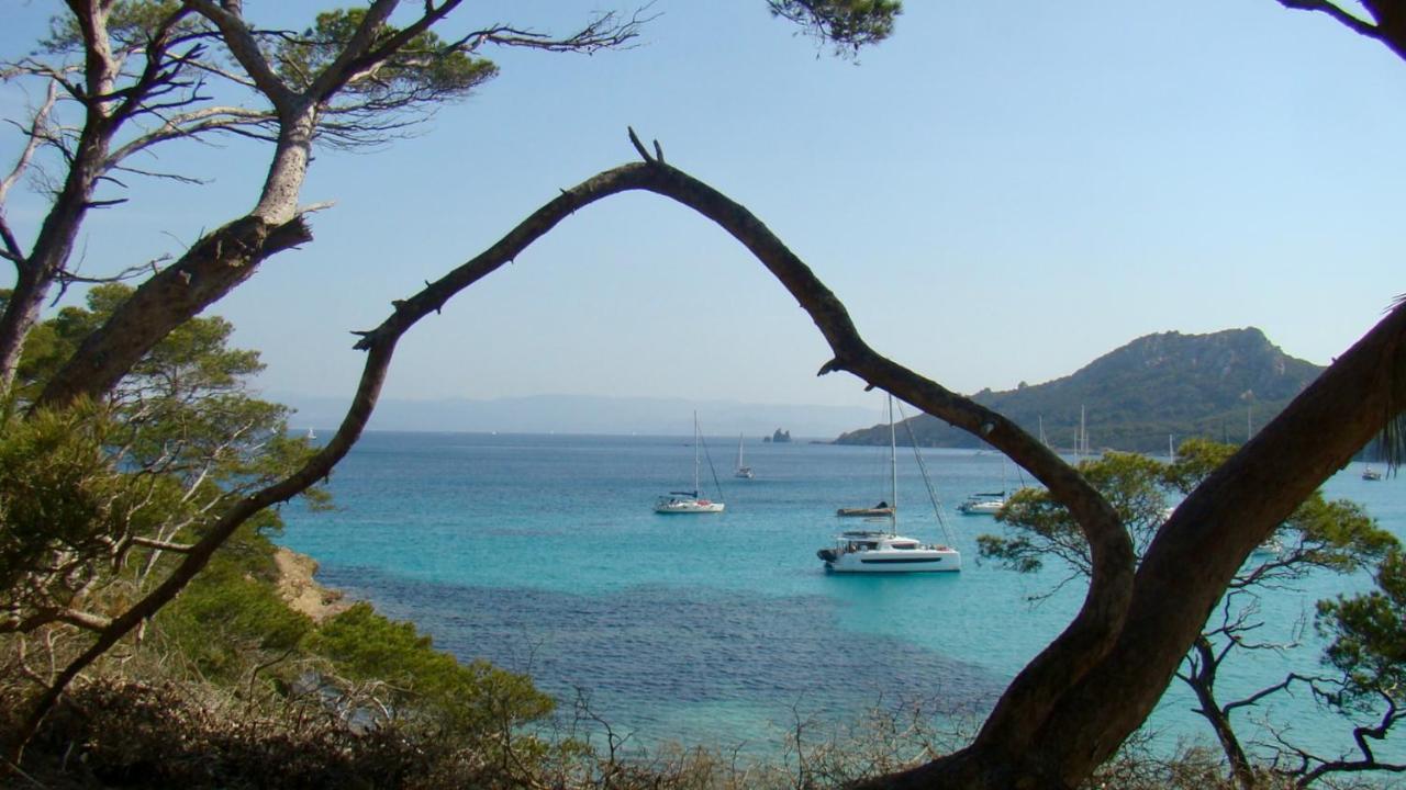 Grand Studio A Hyeres Entre Mer Et Ville Exterior photo