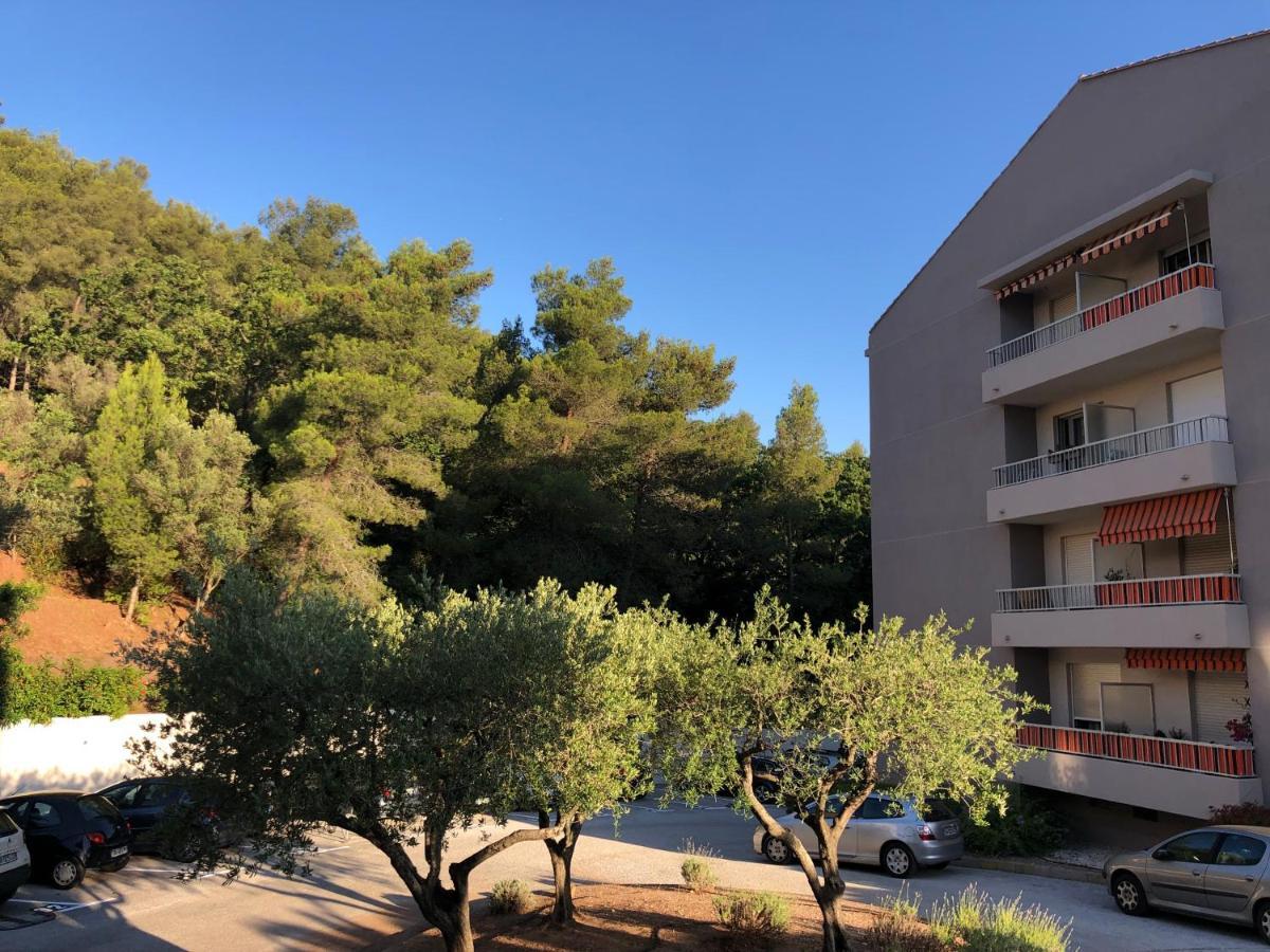 Grand Studio A Hyeres Entre Mer Et Ville Exterior photo