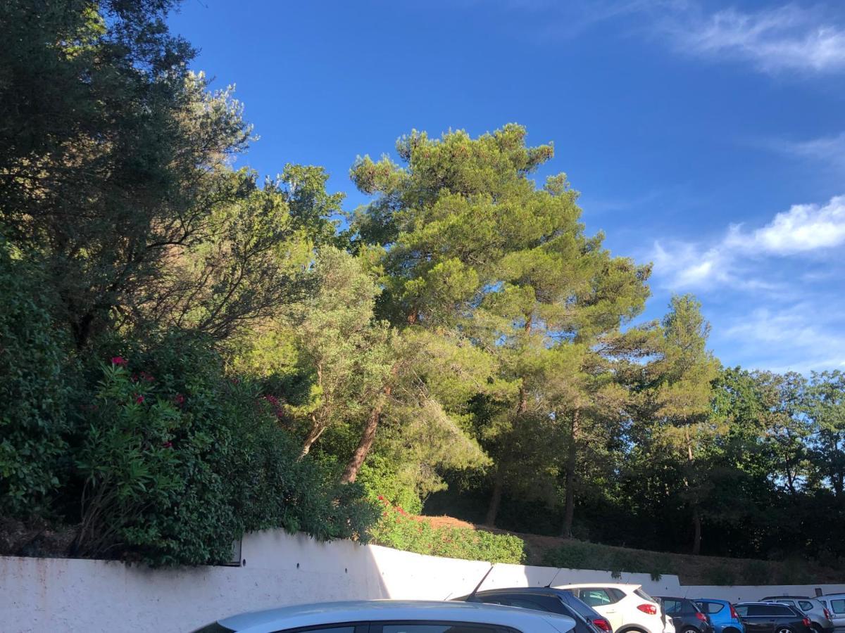 Grand Studio A Hyeres Entre Mer Et Ville Exterior photo